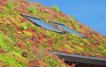 Whyteleafe living roof systems