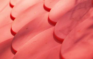 Whyteleafe plastic roof costs