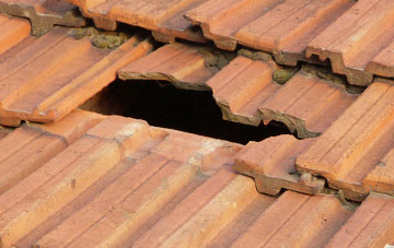 roof repair Whyteleafe, Surrey